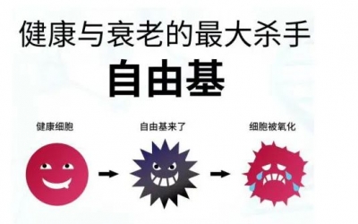 玻尿酸的作用與功效有哪些？